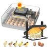 Advwin 48 Eggs Incubator + Chicken Brooder Heating Plate
