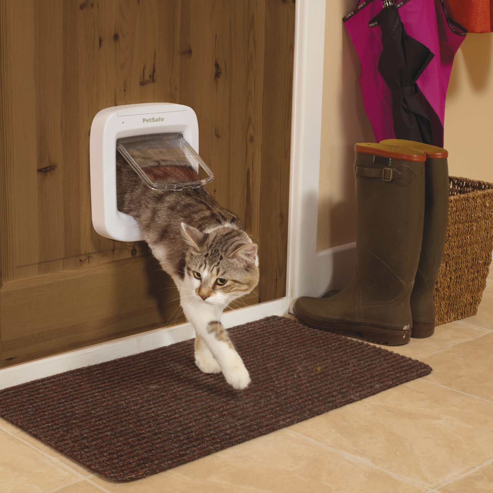 Microchip cat door australia hotsell