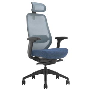 Desky CoilFlex Ergonomic Office Chair with Headrest
