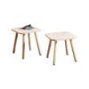 Natural Signature Small Raw Natural 2 Piece Couple Coffee Table Set