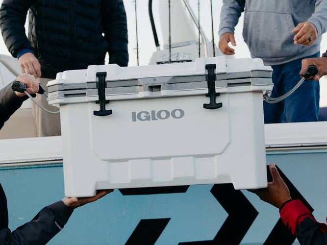 Igloo - Brand page - Gallery 4 - IMX