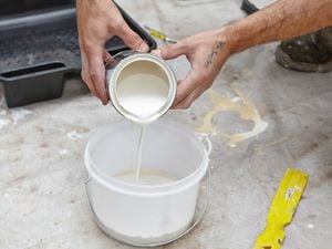 DIY Step Image - How to seal a white set plaster wall . Blob storage upload.