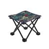 Outdoor Stylish Folding Stool