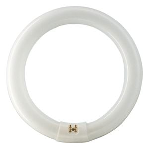 Philips 22W Circular Fluorescent Globe Cool White