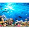 Underwater Scene Coral Reef & Fish  Print 100% Australian Made 75 x 50cm  (Stretched)