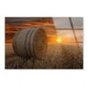 Sun Setting Straw Bales in A Field  Print 100% Australian Made 150 x 100cm  (Acrylic)