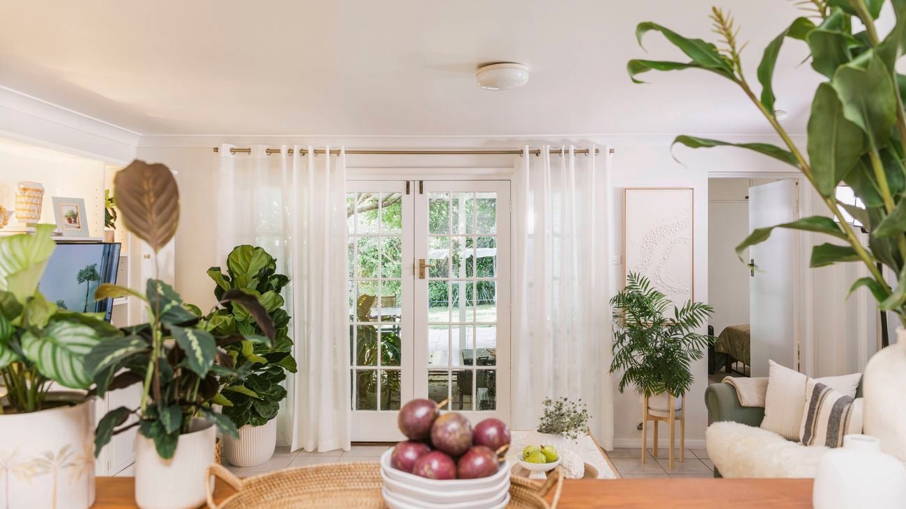 Living room with a green sofa, cushions, and a timber pass‑through shelf displaying plants and décor.