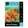 Bloomin' Bulbs Lilium Asiatic Twosome - Lilium hybrid - 1 Pack