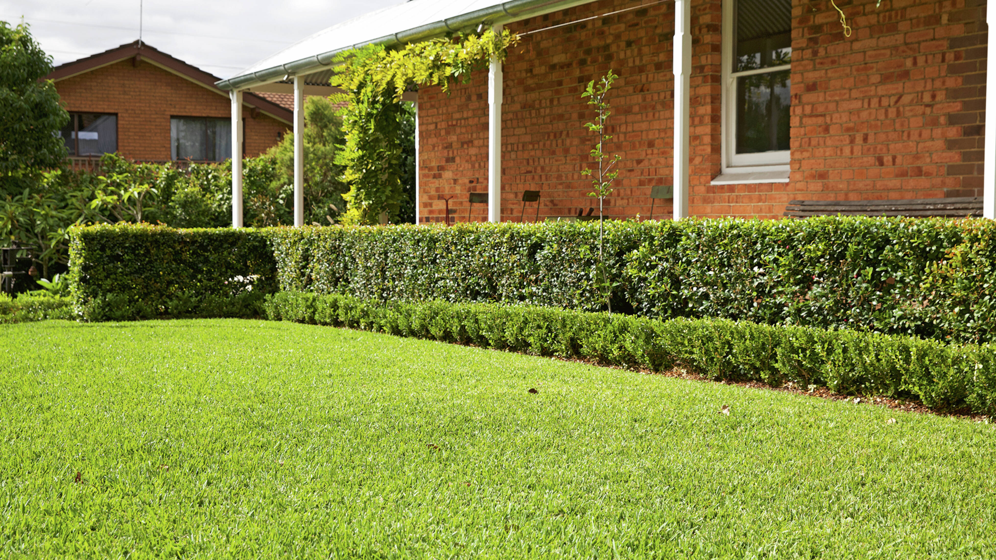 A brick house with a verandah is bordered by a trimmed hedge and a well-maintained lawn.