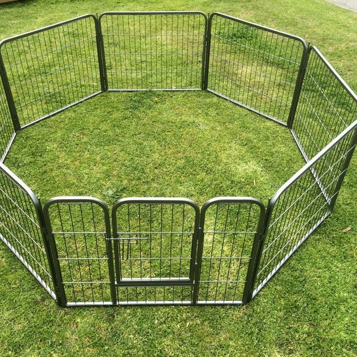 Pet fence bunnings best sale