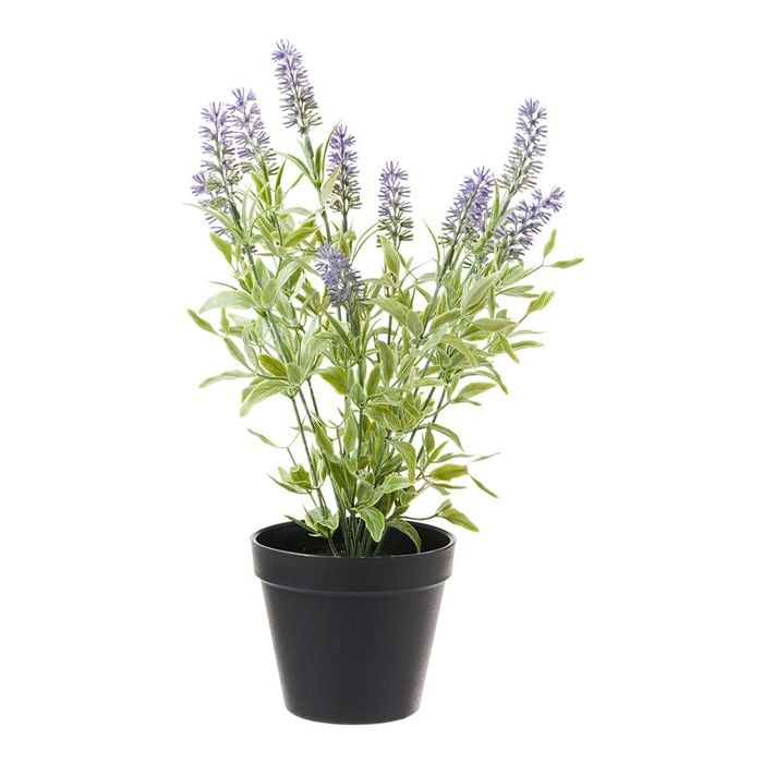 Myhouse Faux Lavender Pot
