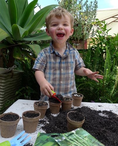 Child filling jiffy pots with soil in preparation for seeding
