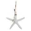 LVD Hanging Resin 23.5cm Starfish Ornament Decor Medium - Luna