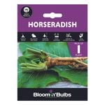 Bloomin' Bulbs Produce Summer Purple Horseradish - 1 Pack