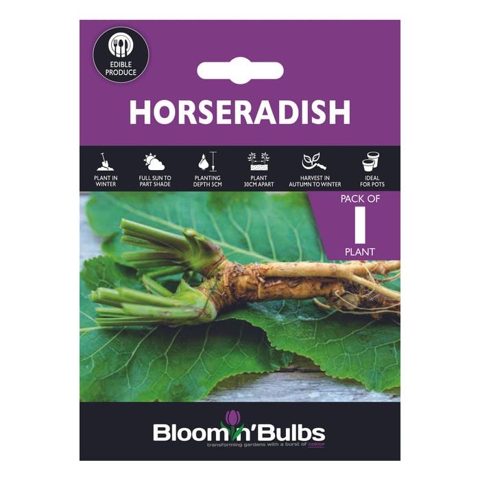 Bloomin' Bulbs Produce Summer Purple Horseradish - 1 Pack