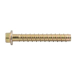Ramset 12 x 100mm Zinc AnkaScrew Masonry Anchor - 20 Pack