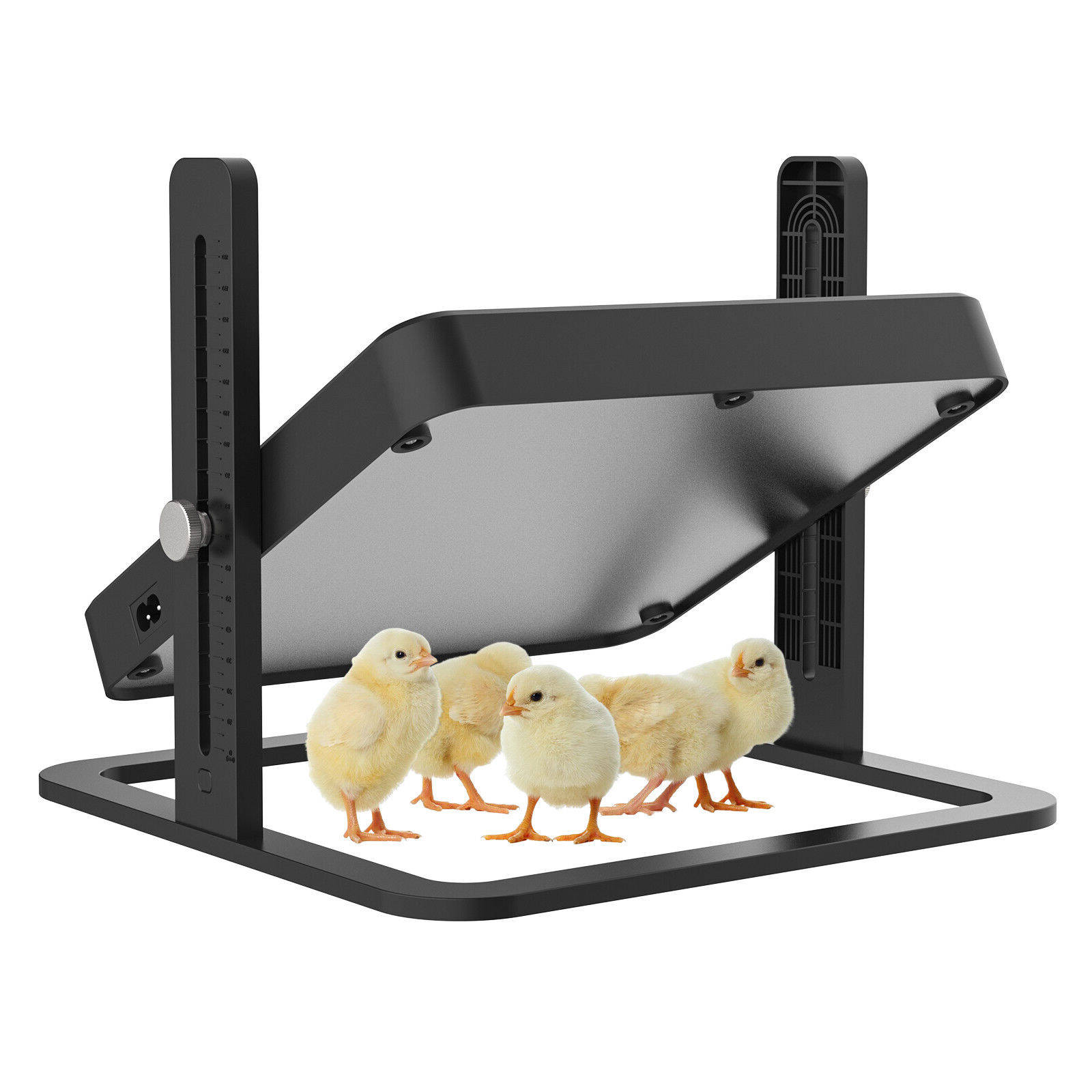 height adjustable electric brooder plate for chicks