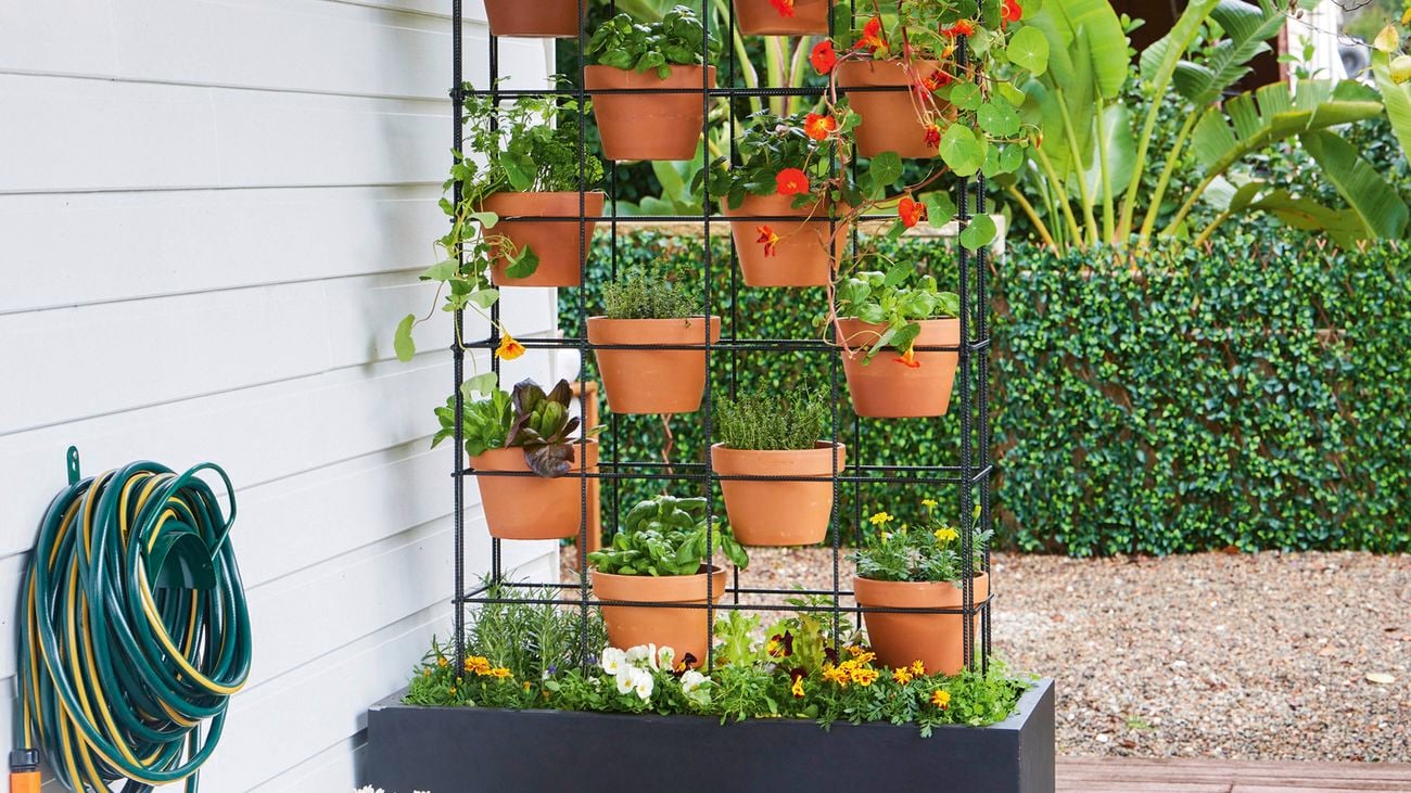 If using terracotta pots, paint or seal the insides to help prevent soil drying out