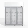 Skope  3 Glass Door Display Or Storage Fridge - Commercial Drink Fridges (tme1500n-a)