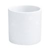 EDEN 11.5cm Gloss White Mono Indoor Ceramic Planter - 116mm