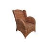 Elegance Living 31x51x96cm Saddle Brown Indica Wings Chair