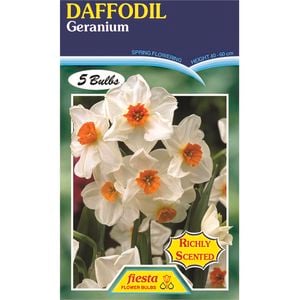 Daffodil Geranium - 5 Bulbs