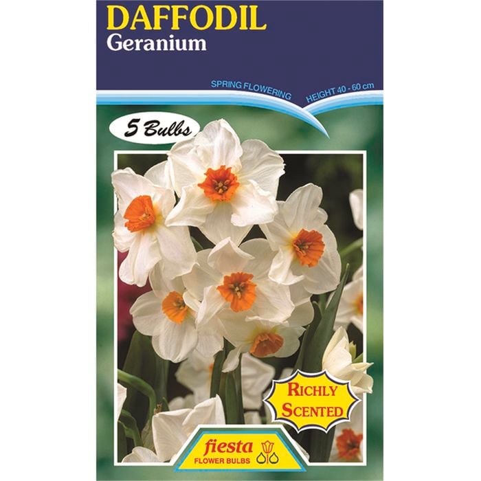 Daffodil Geranium - 5 Bulbs