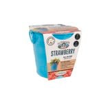 Mr Fothergill's Boutique Gardens Strawberry Grow Kit