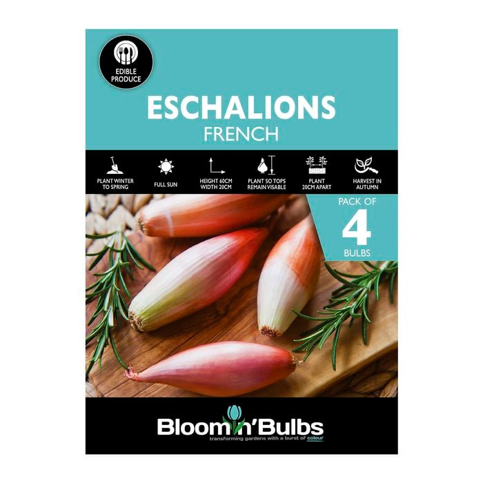 Bloomin' Bulbs French Echalions - 4 Pack