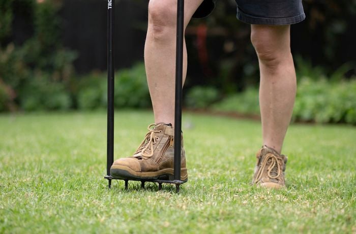 Poking tiny holes using a lawn aerator.