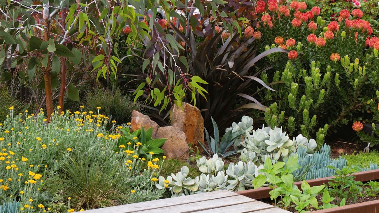 A wooden bench sits in front of a garden containing trees and plants with red flowers.