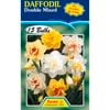 Fiesta Flower Bulbs Daffodil Double Mix - 15 Bulbs