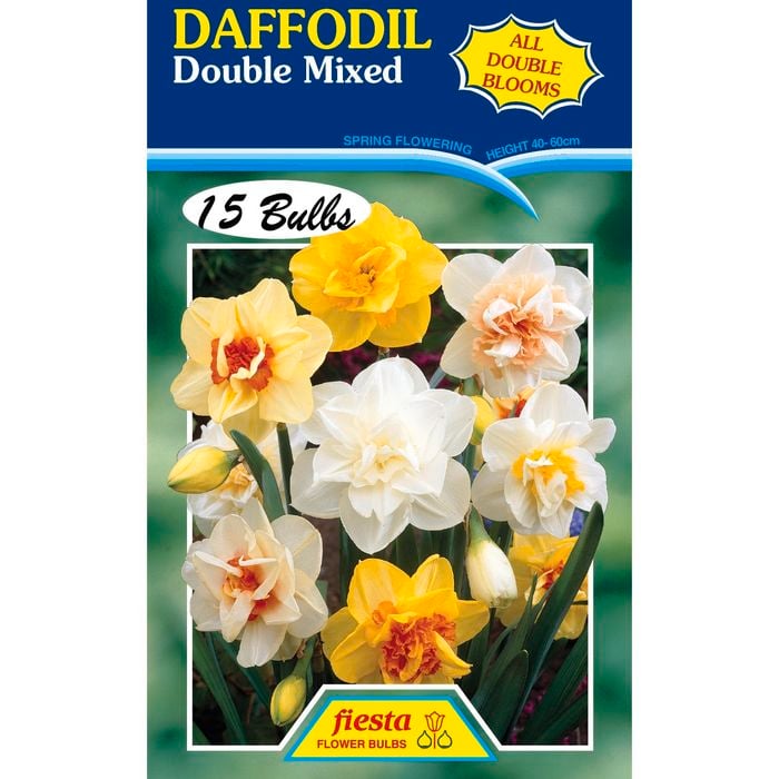 Fiesta Flower Bulbs Daffodil Double Mix - 15 Bulbs