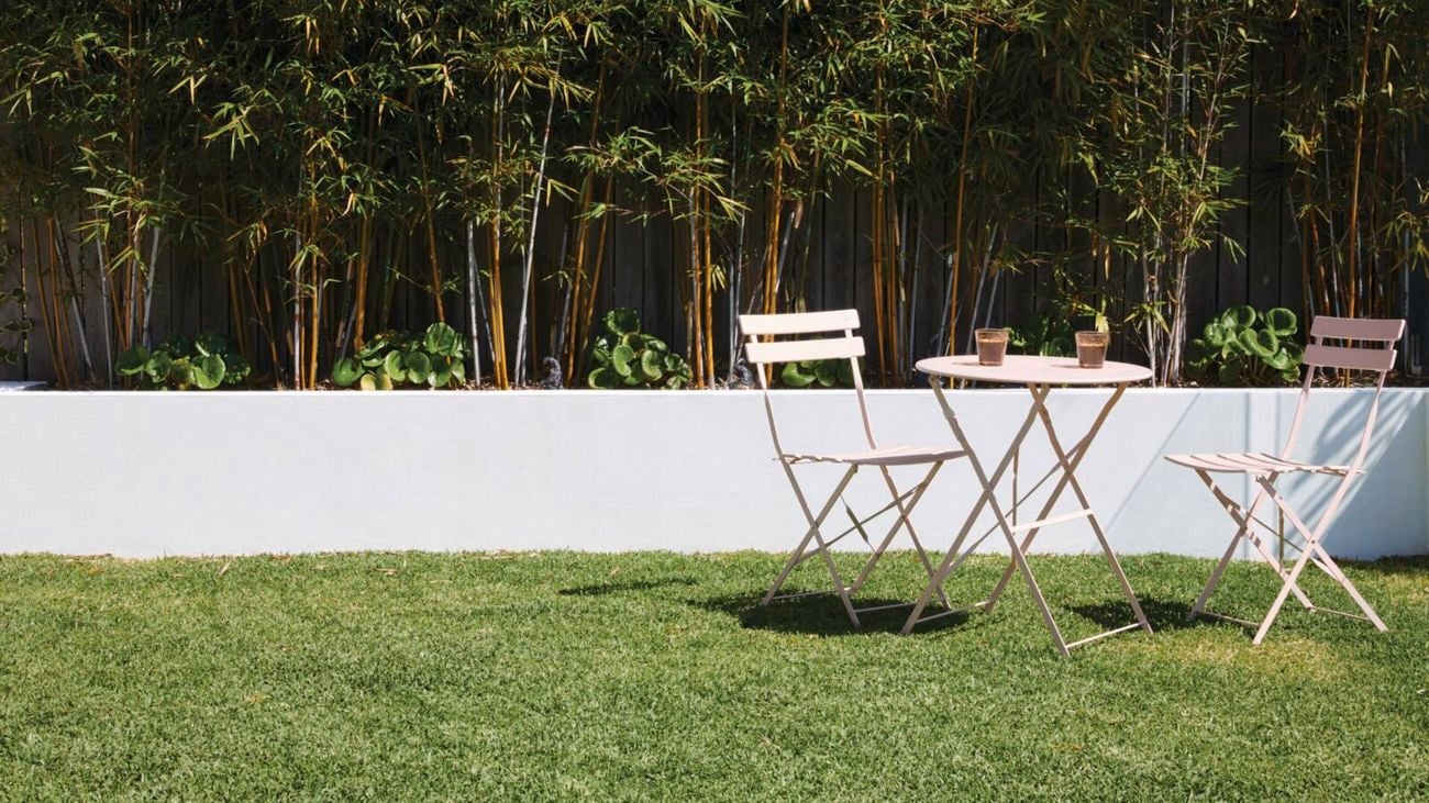 backyard of a house with paved pathway and plants surrounding it