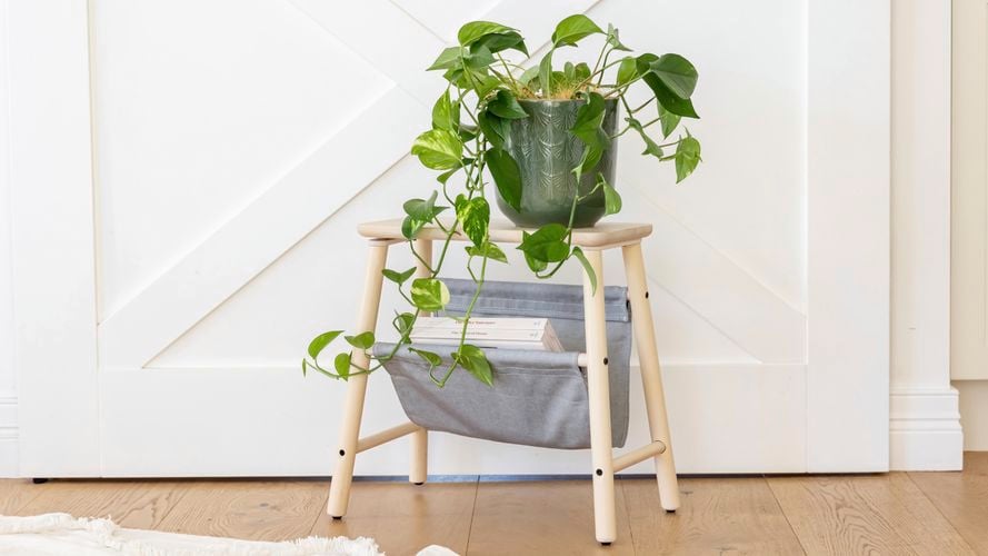 Borralheira
  20cm Sage Green Palm Indoor Plant Pot 0428717