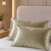 Royal Comfort Mulberry Soft Silk Pillowcase Twin Pack Champagne Standard