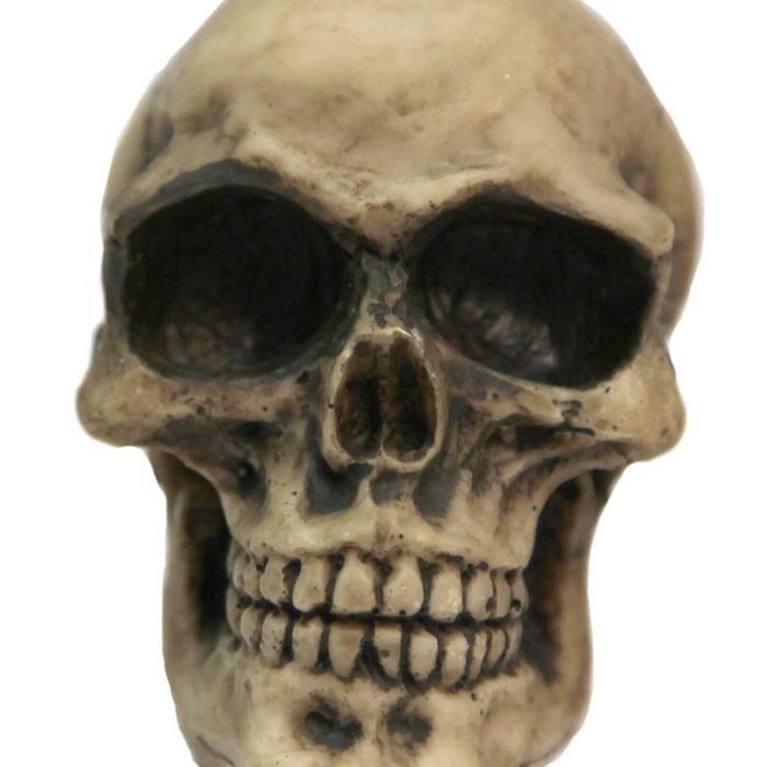 Aqua One Skull (s) Ornament (37124)