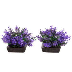 Aqua One Ecoscape Foreground Catspaw 2pk Purple (28295)