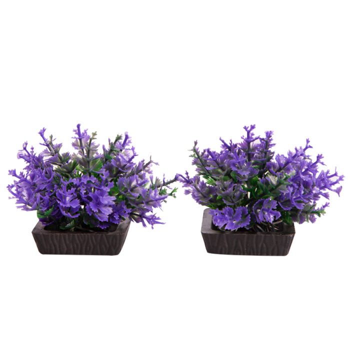 Aqua One Ecoscape Foreground Catspaw 2pk Purple (28295)
