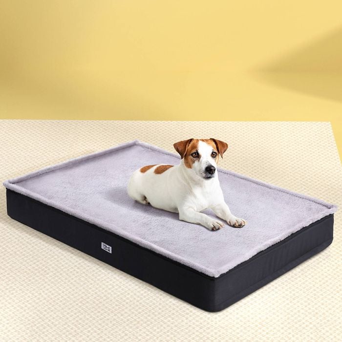 Calming Bed Canvas Dog Bed Bunnings High Walled Outdoor Trampoline Pet Bed  Cot Grey – Charlie's Pet