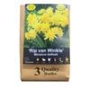 Yarra Valley Bulbs Daffodil Rip Van Winkle - 3 Pack