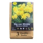 Yarra Valley Bulbs Daffodil Rip Van Winkle - 3 Pack