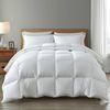 Casa Decor Silk Touch Quilt 360GSM Antibacterial Hypoallergenic White Single