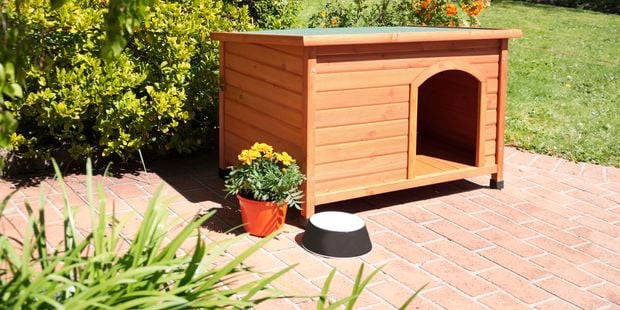 The Pinnacle 'Shack' dog kennel.
