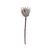 70cm Queen Protea Dried Artificial Flowers