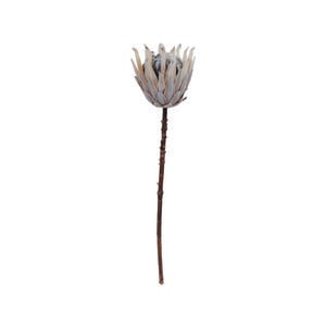 70cm Queen Protea Dried Artificial Flowers