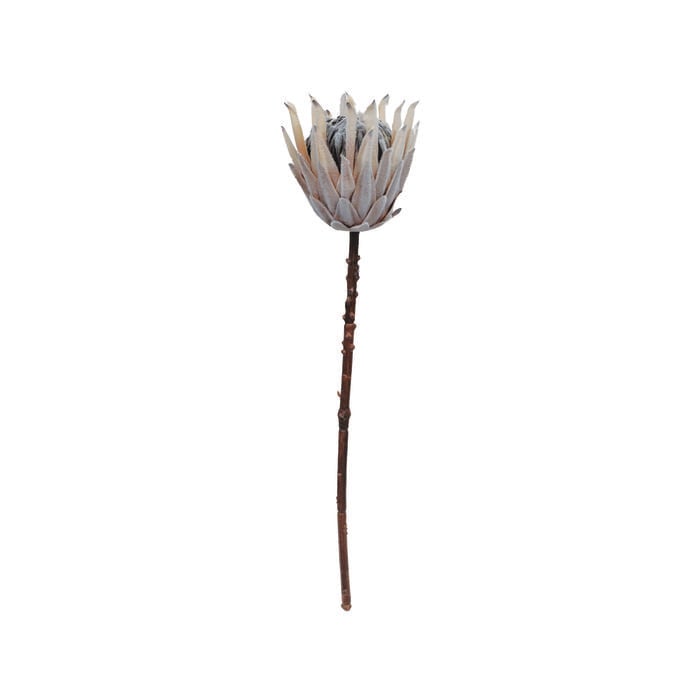 70cm Queen Protea Dried Artificial Flowers