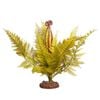 Reptile One Plant Large Eagle Fern Green With Ceramic Base