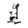 Lifespan Fitness EXC-100 Commercial Exercise Bike