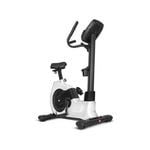 Lifespan Fitness EXC-100 Commercial Exercise Bike